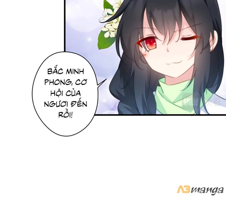 Bạo Sủng Tiểu Manh Phi Chapter 75 - 24