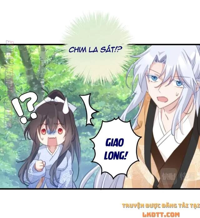 Bạo Sủng Tiểu Manh Phi Chapter 82 - 5