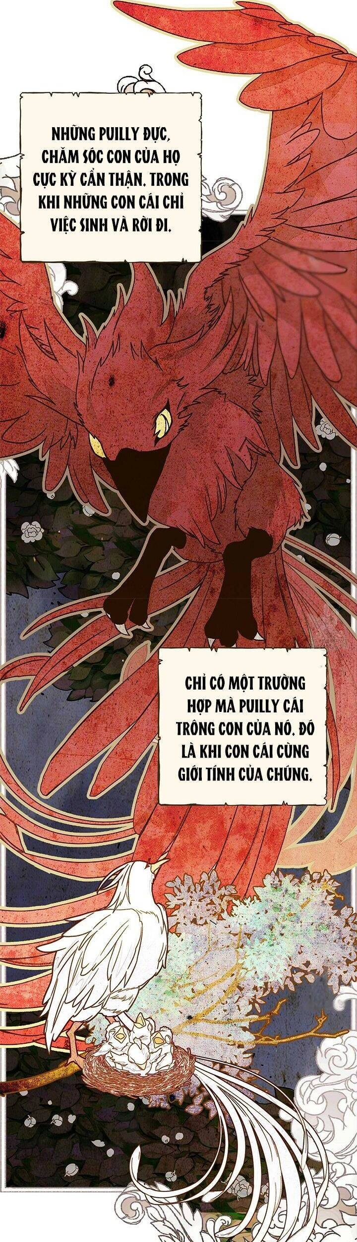 Hãy Chọn Một Trong Các Papa Bạo Chúa Chapter 11 - 45