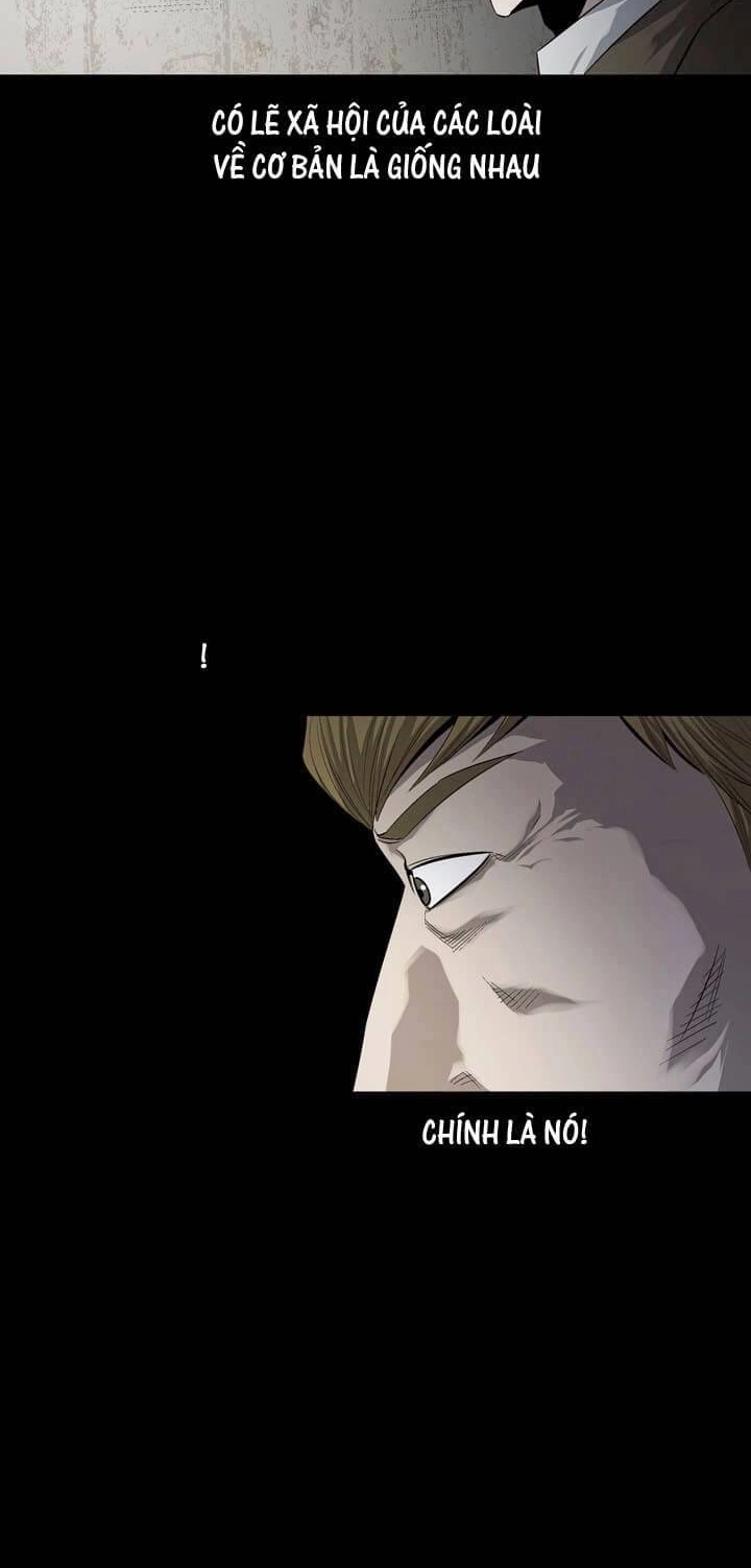 Hive Chapter 49 - 18