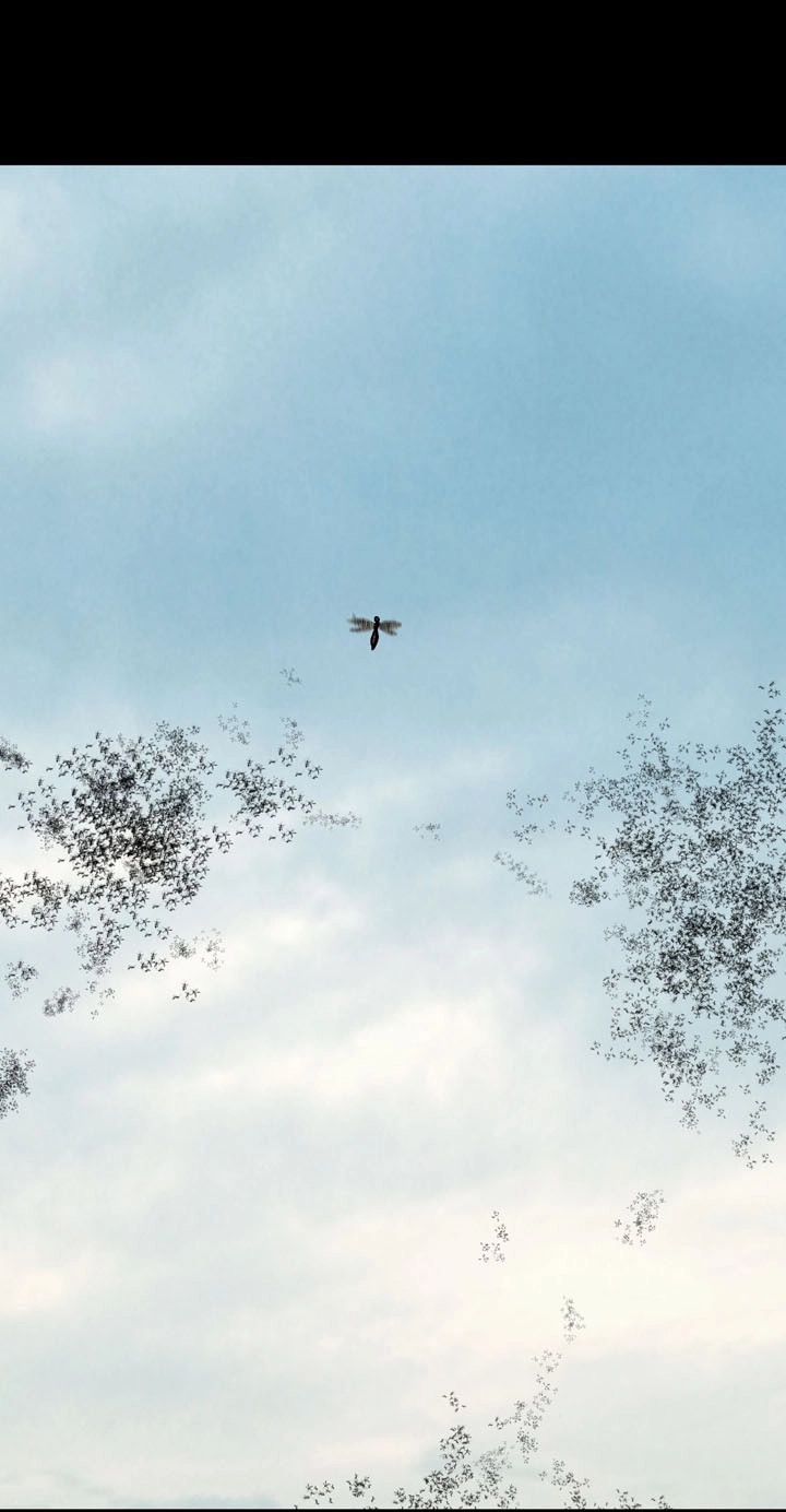 Hive Chapter 71 - 45