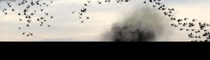 Hive Chapter 225 - 8