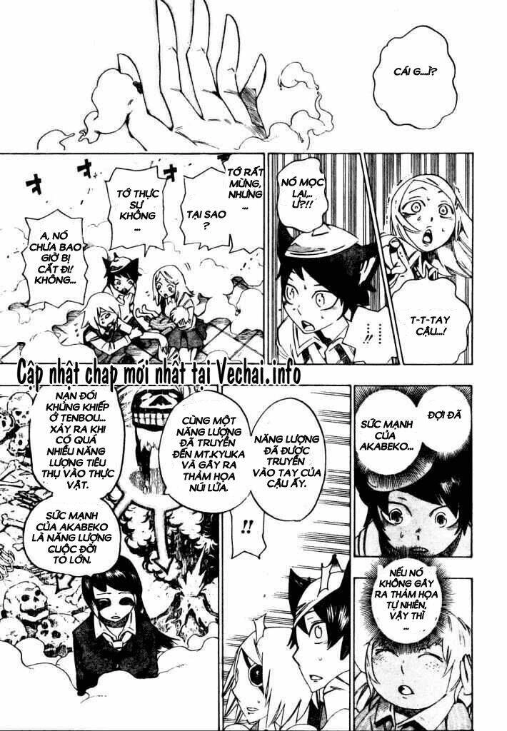 Bokke-San Chapter 13 - 19