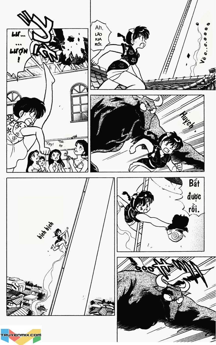 Suối Lời Nguyền Chapter 237 - 8