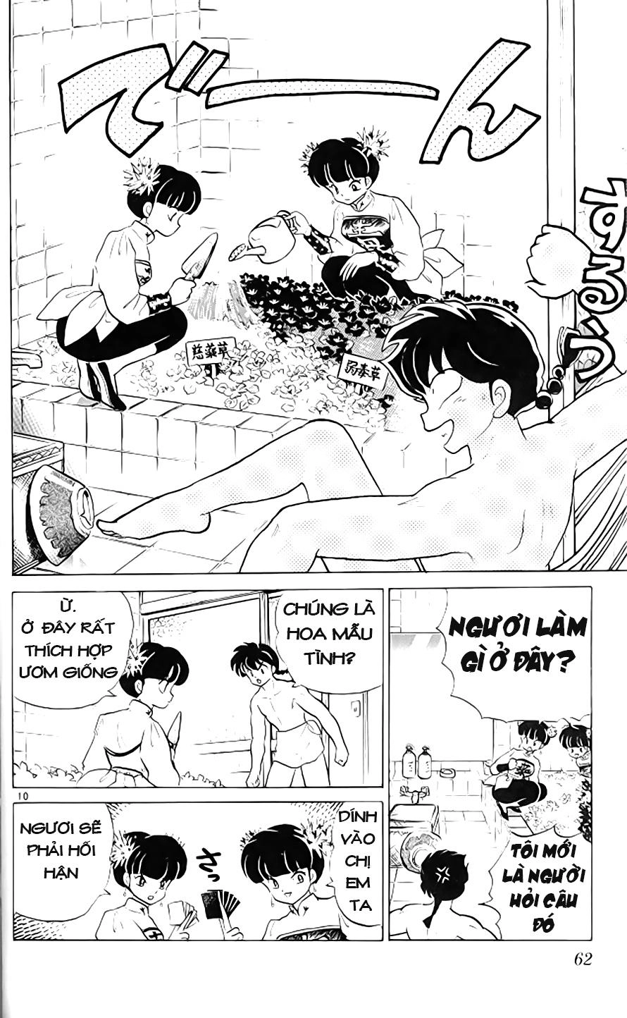 Suối Lời Nguyền Chapter 304 - 11