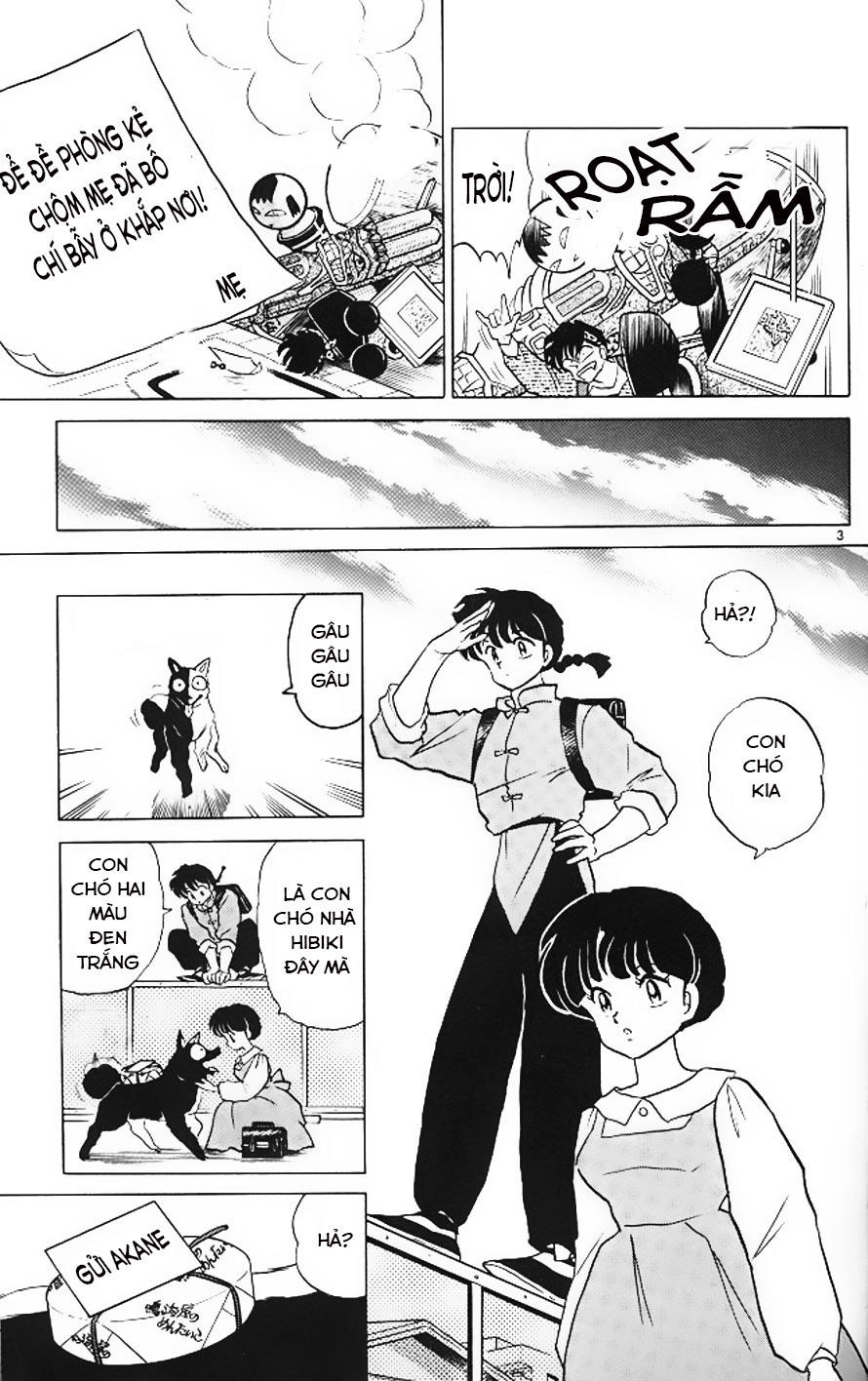 Suối Lời Nguyền Chapter 326 - 3