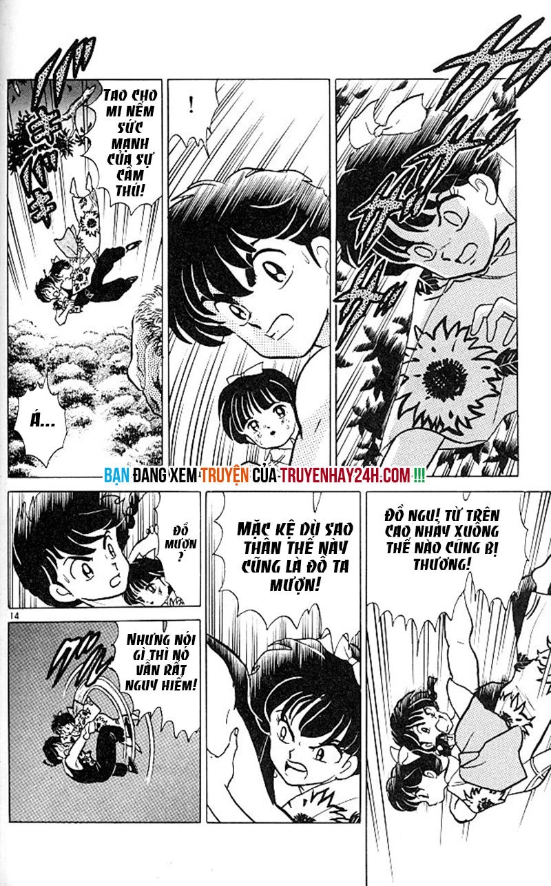 Suối Lời Nguyền Chapter 332 - 14