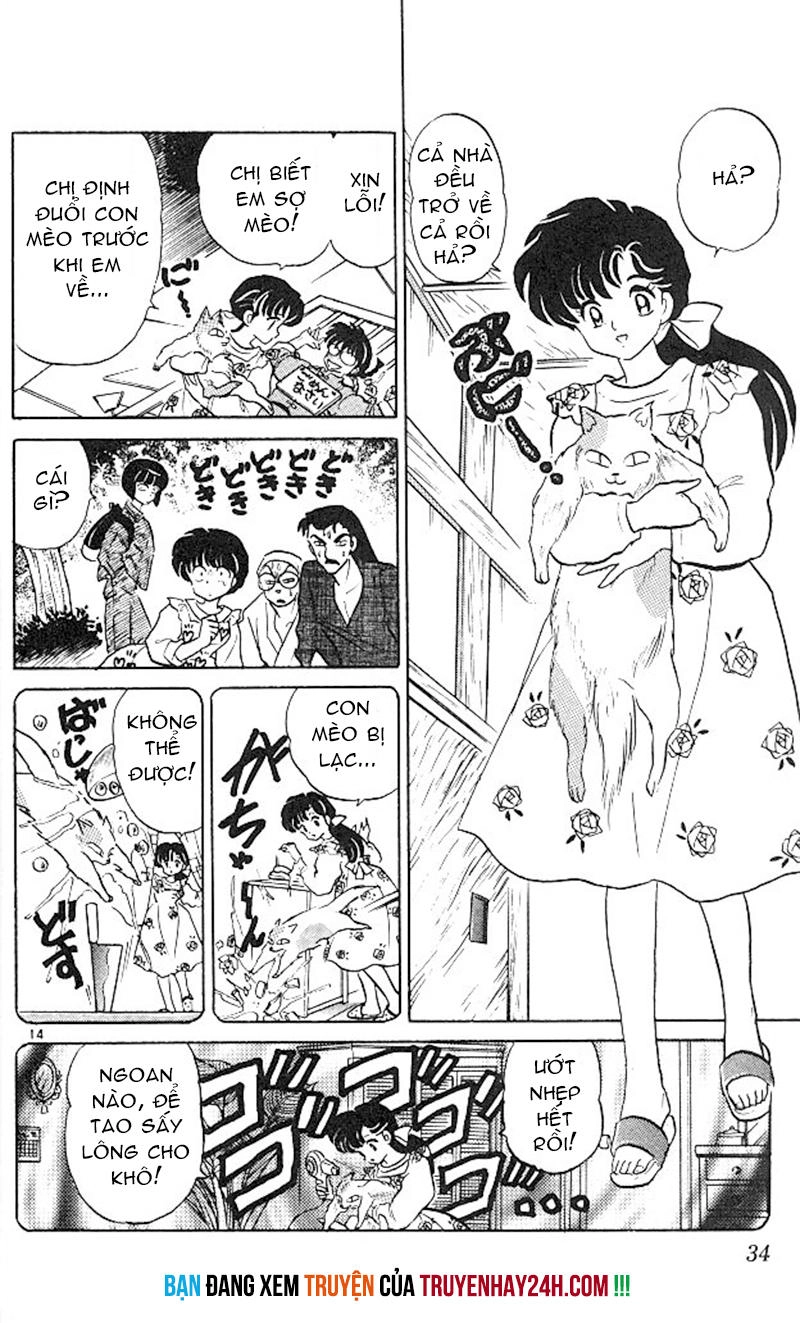 Suối Lời Nguyền Chapter 346 - 16