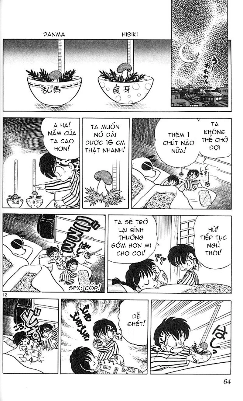 Suối Lời Nguyền Chapter 348 - 14