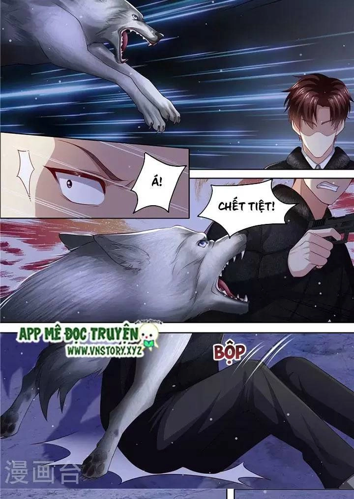 Cưng Chiều Vợ Yêu Chapter 307 - 8