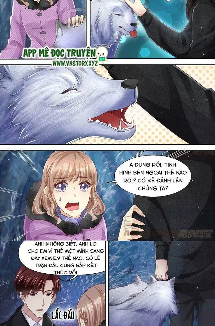 Cưng Chiều Vợ Yêu Chapter 309 - 3