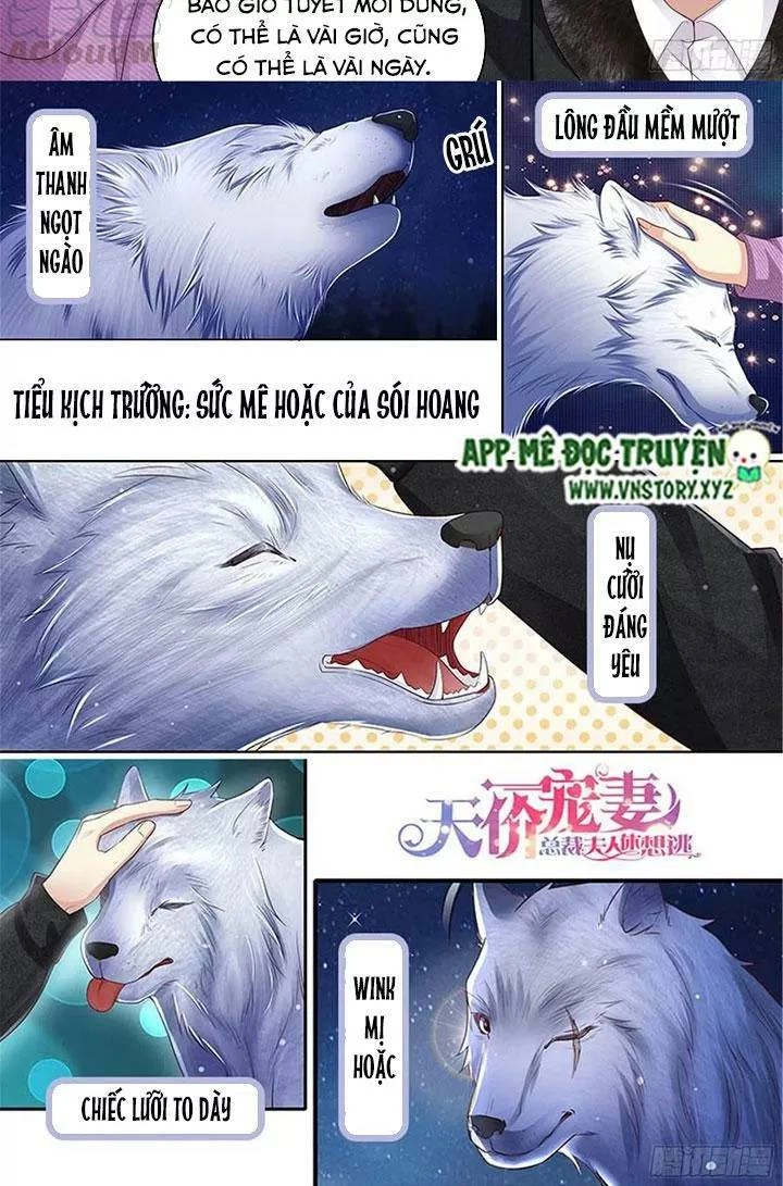 Cưng Chiều Vợ Yêu Chapter 309 - 13