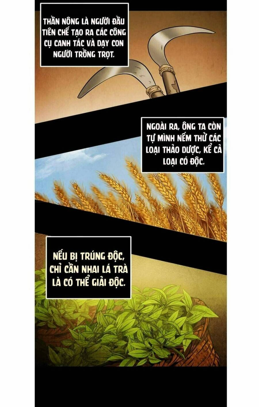 Vua Trộm Mộ Chapter 45 - 50