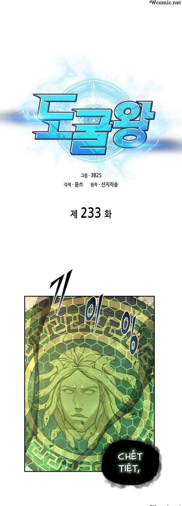 Vua Trộm Mộ Chapter 233 - 11