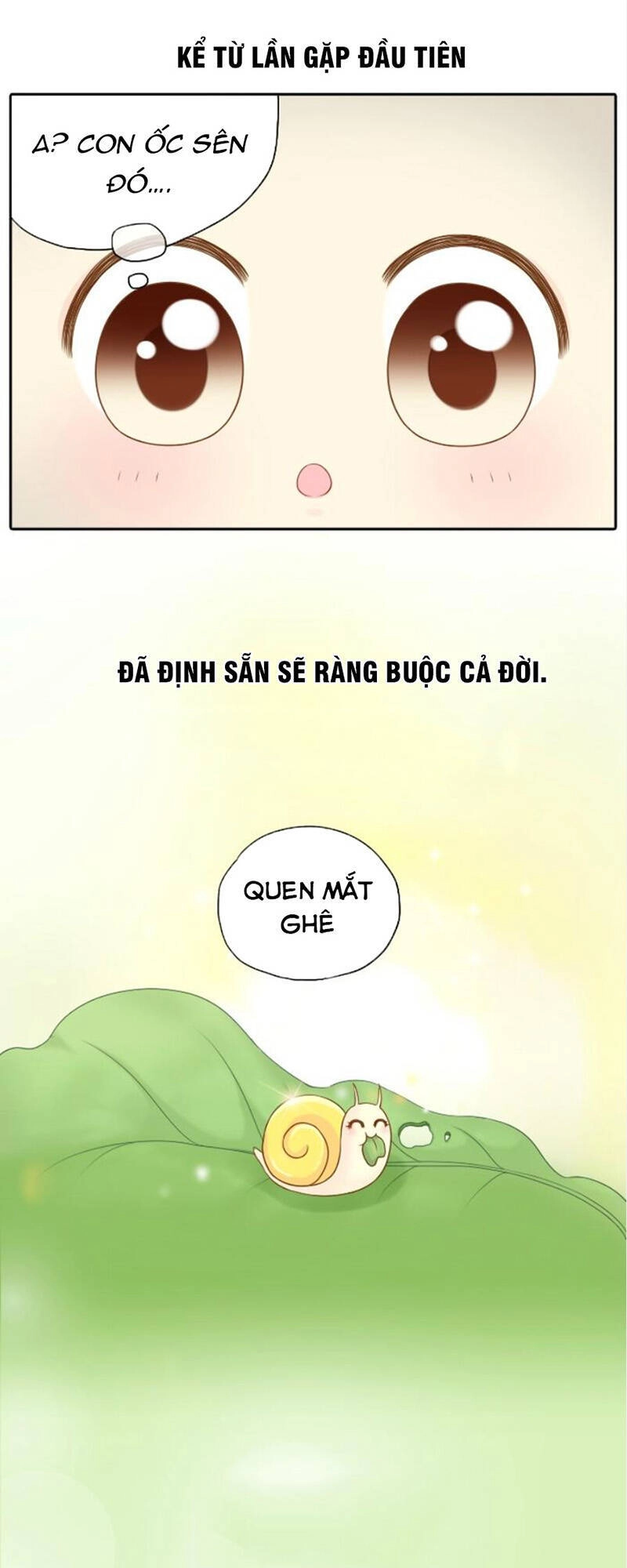 Tiểu Hoà Thượng - Chào Mừng Đến Trấn Yêu Quái Chapter 12 - 19