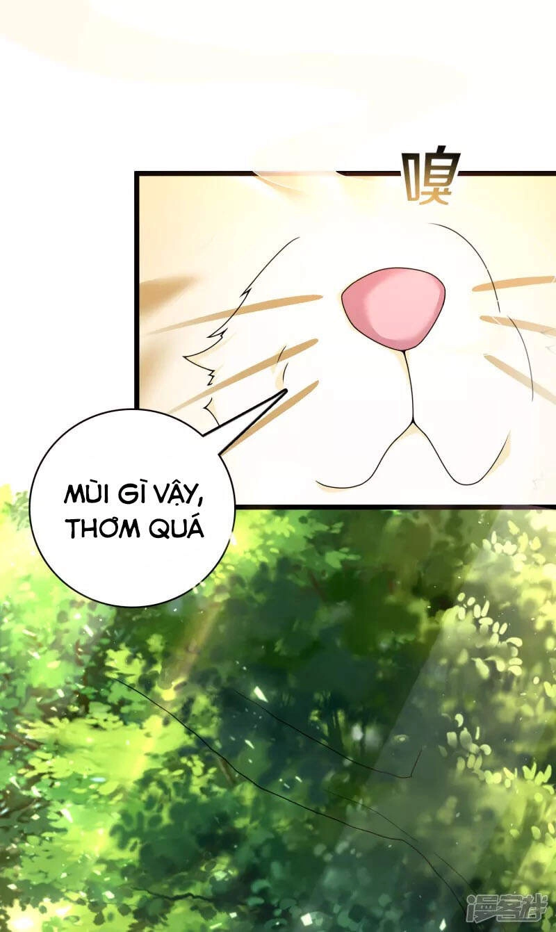 Khoa Kỹ Đại Tiên Tông Chapter 19 - 6