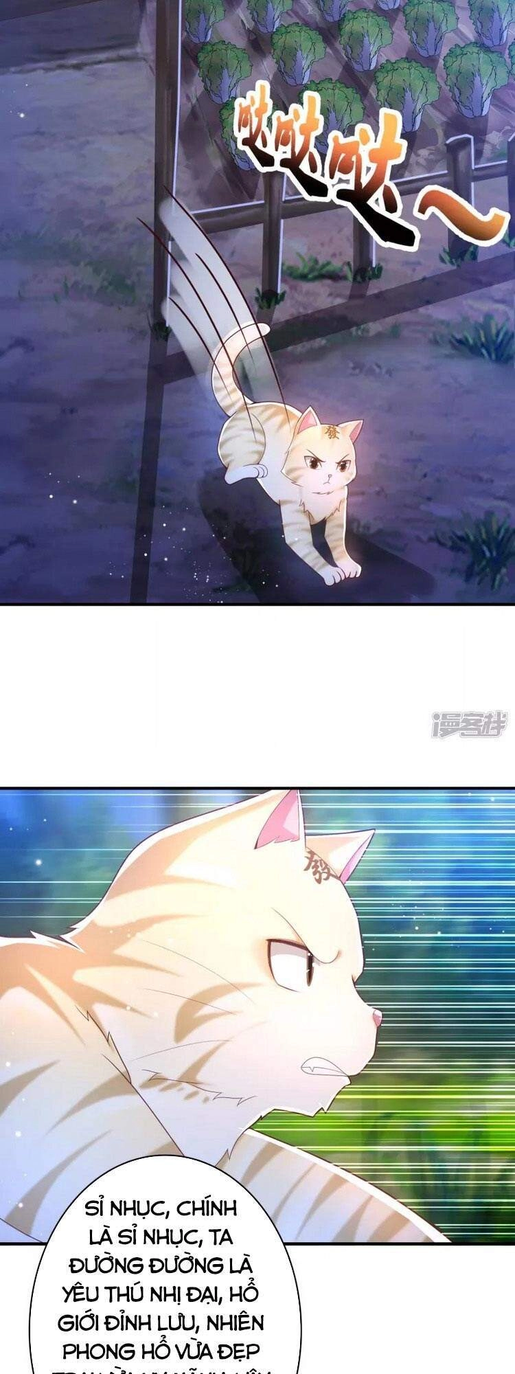 Khoa Kỹ Đại Tiên Tông Chapter 20 - 13