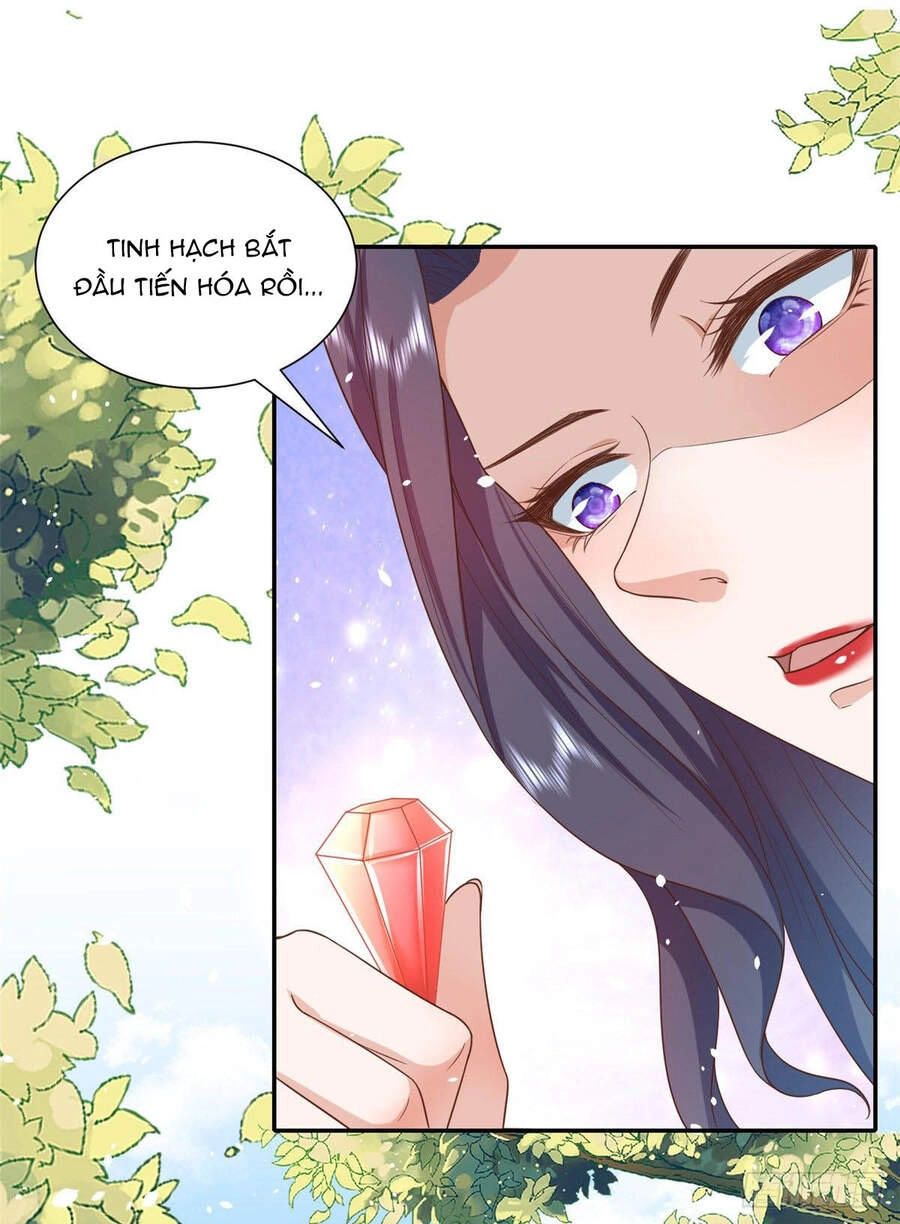 Trở Thành Lão Đại Từ Việc Tiêu Tiền Chapter 44 - 11