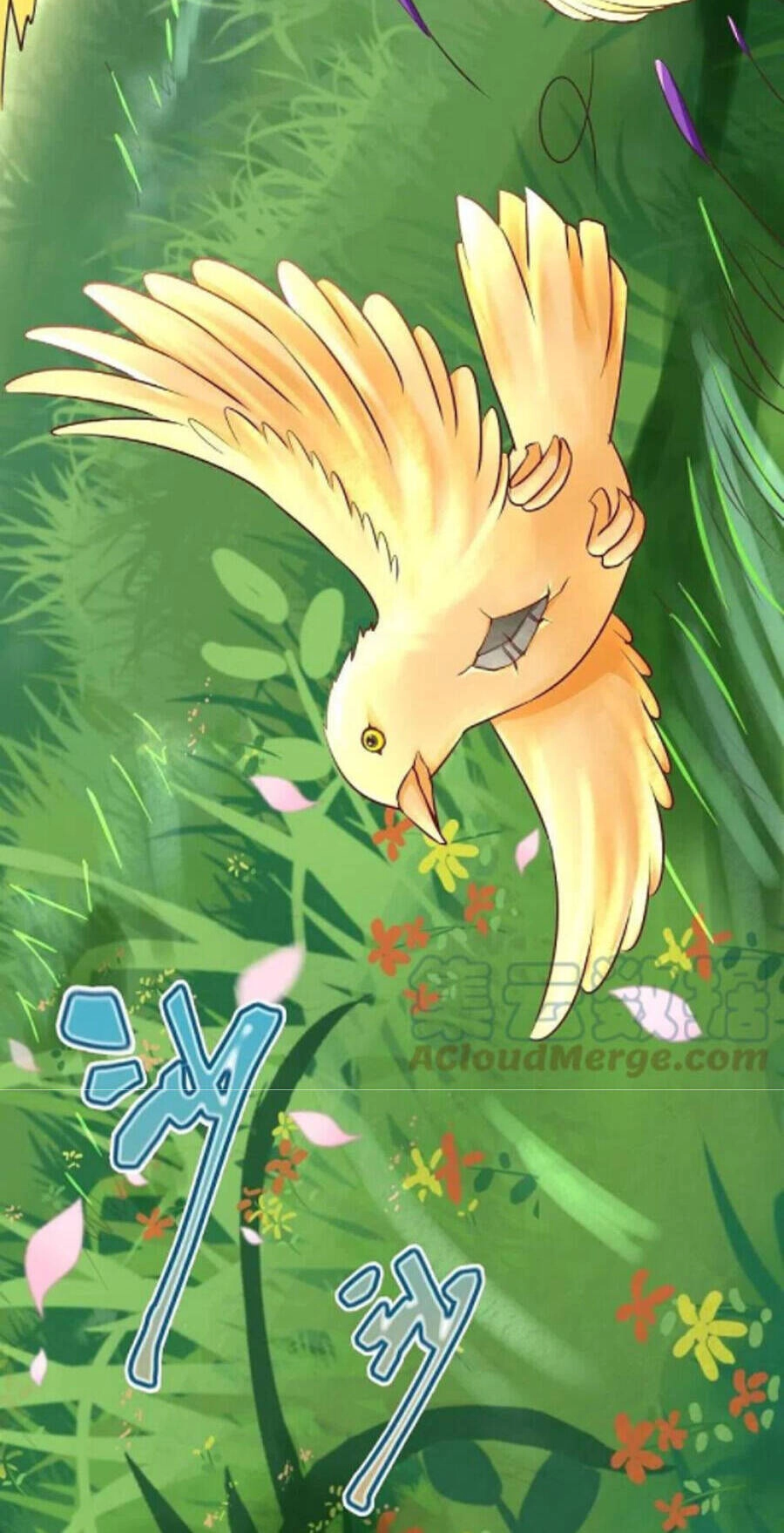 Chí Tôn Trời Hoang Chapter 64 - 13