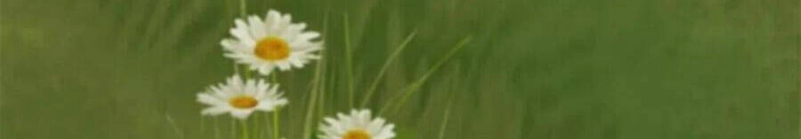 Chí Tôn Trời Hoang Chapter 64 - 36