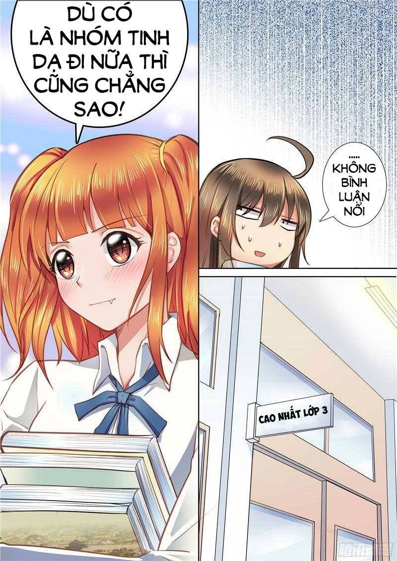 Người Thừa Kế Giá Đáo: Hiệu Thảo Làm Loạn Đủ Chưa? Chapter 41 - 20