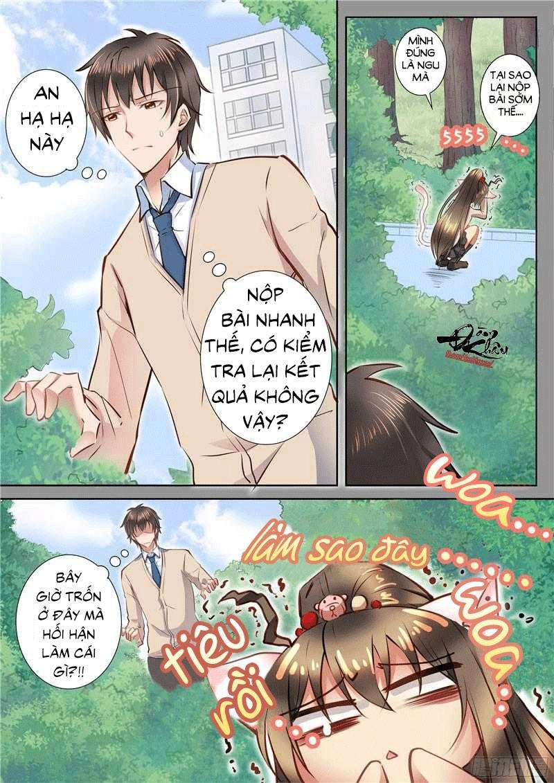 Người Thừa Kế Giá Đáo: Hiệu Thảo Làm Loạn Đủ Chưa? Chapter 50 - 3