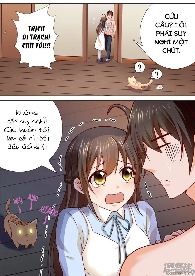 Người Thừa Kế Giá Đáo: Hiệu Thảo Làm Loạn Đủ Chưa? Chapter 81 - 7