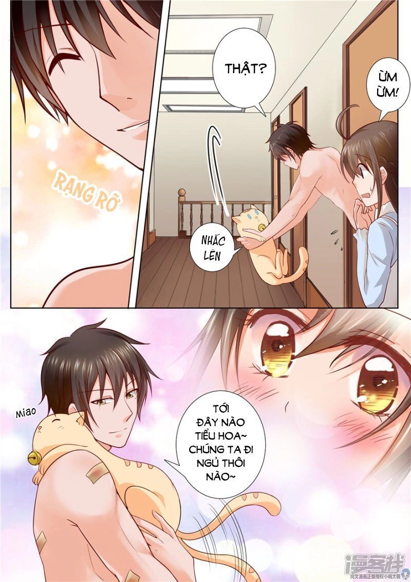 Người Thừa Kế Giá Đáo: Hiệu Thảo Làm Loạn Đủ Chưa? Chapter 81 - 8