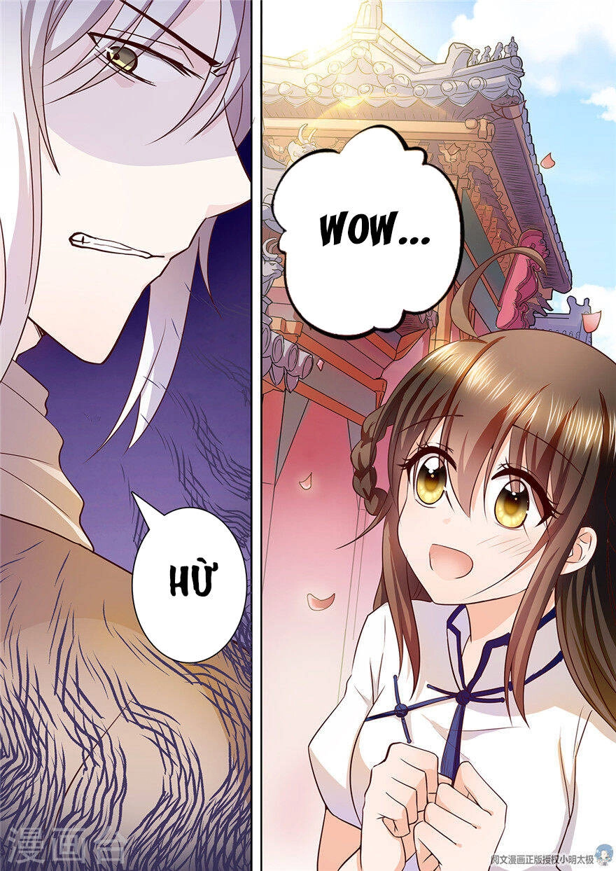 Người Thừa Kế Giá Đáo: Hiệu Thảo Làm Loạn Đủ Chưa? Chapter 91 - 3