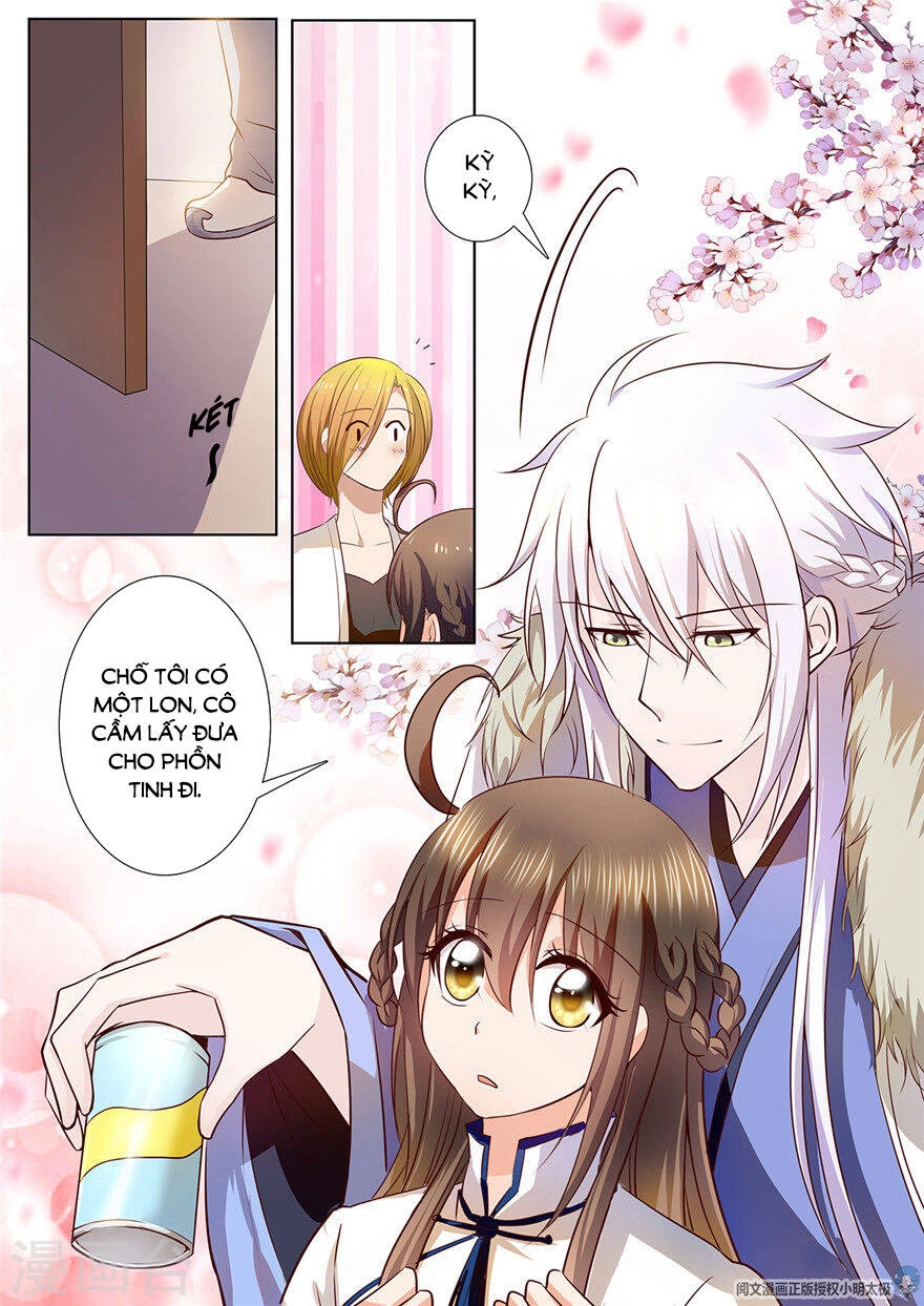 Người Thừa Kế Giá Đáo: Hiệu Thảo Làm Loạn Đủ Chưa? Chapter 91 - 11