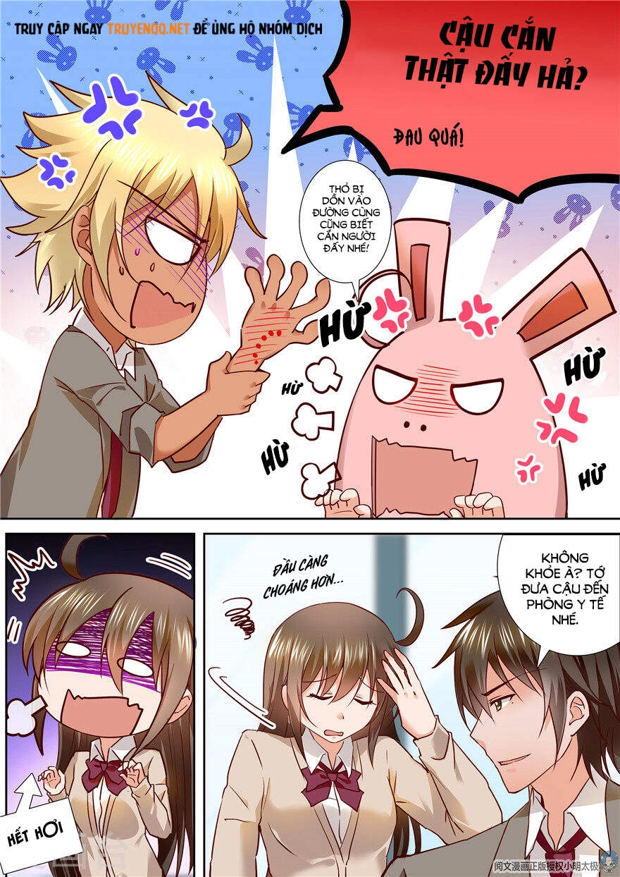 Người Thừa Kế Giá Đáo: Hiệu Thảo Làm Loạn Đủ Chưa? Chapter 96 - 8