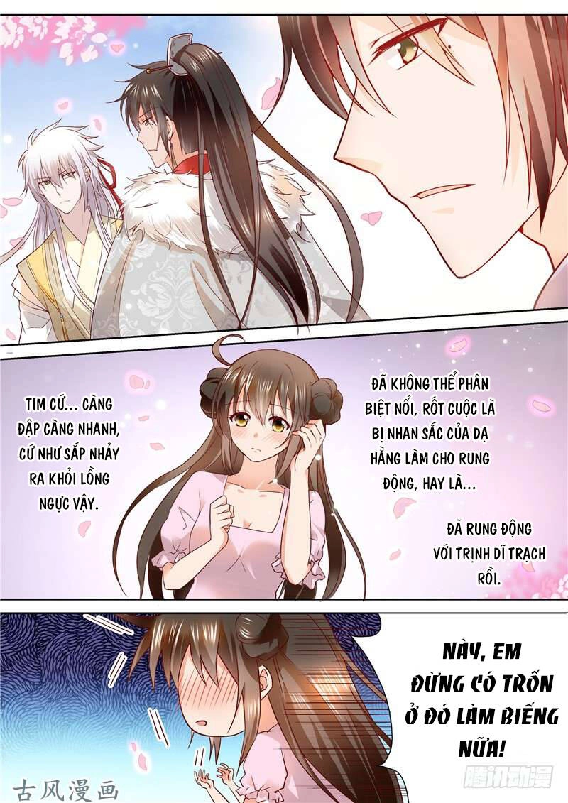 Người Thừa Kế Giá Đáo: Hiệu Thảo Làm Loạn Đủ Chưa? Chapter 105 - 9