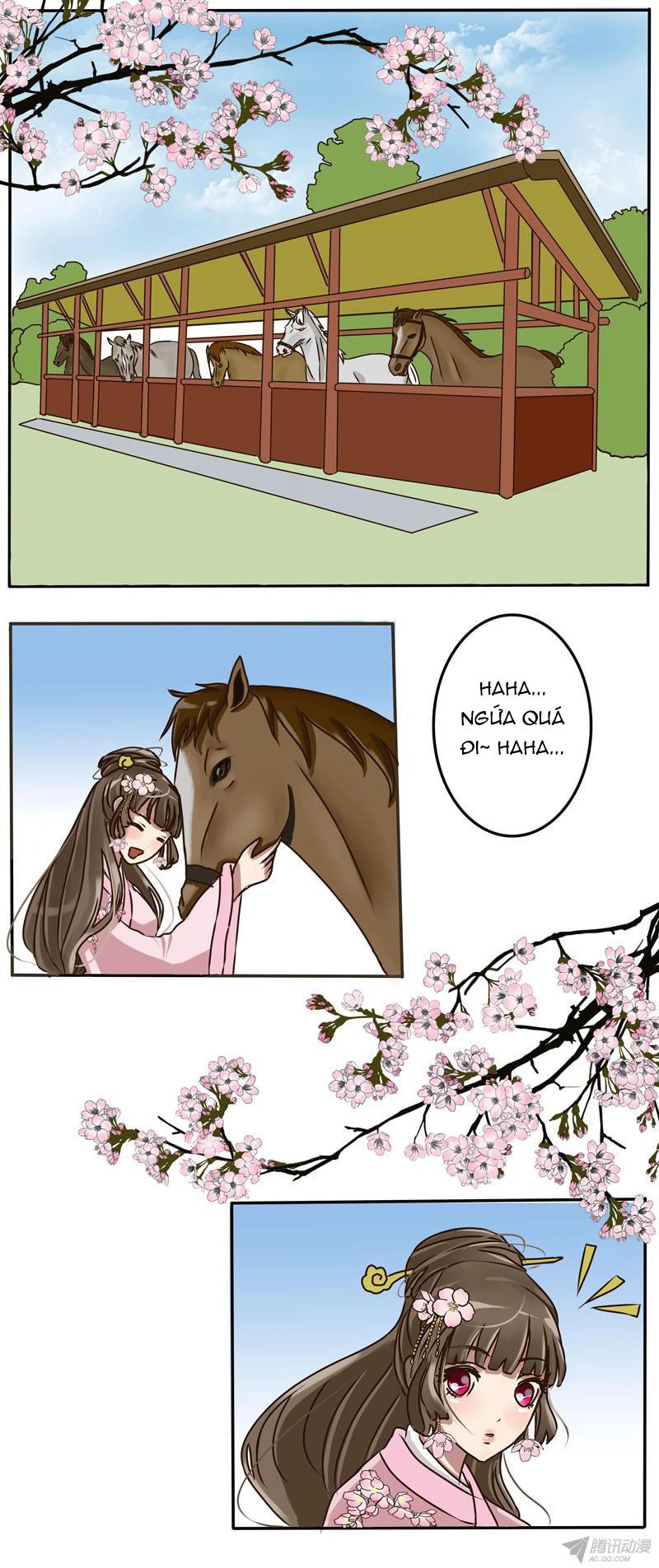 Thông Linh Phi Chapter 11 - 3