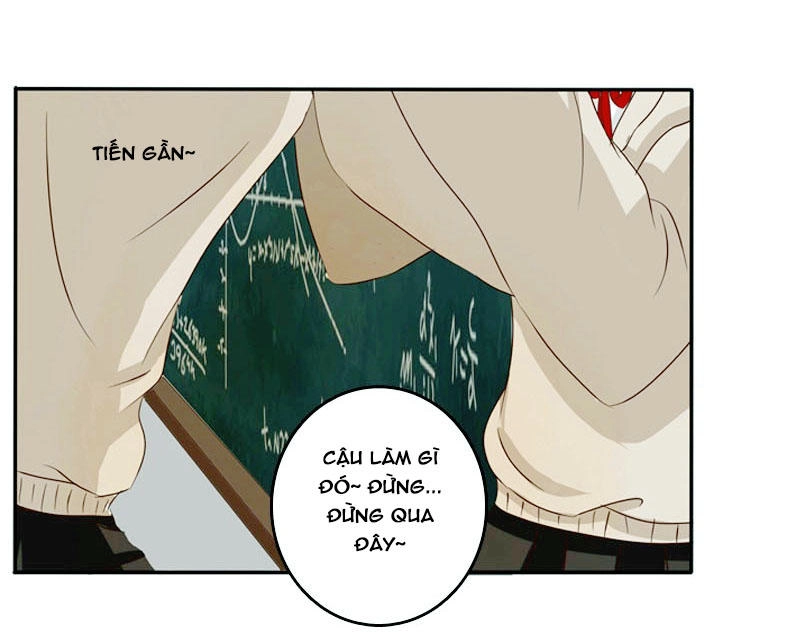 Thông Linh Phi Chapter 71.6 - 74