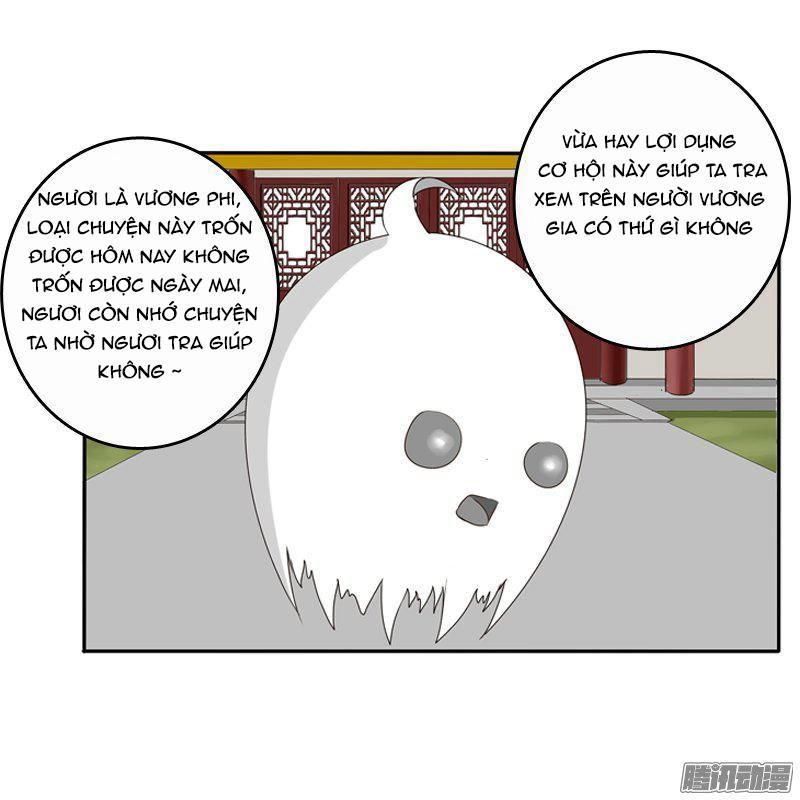 Thông Linh Phi Chapter 76.5 - 14