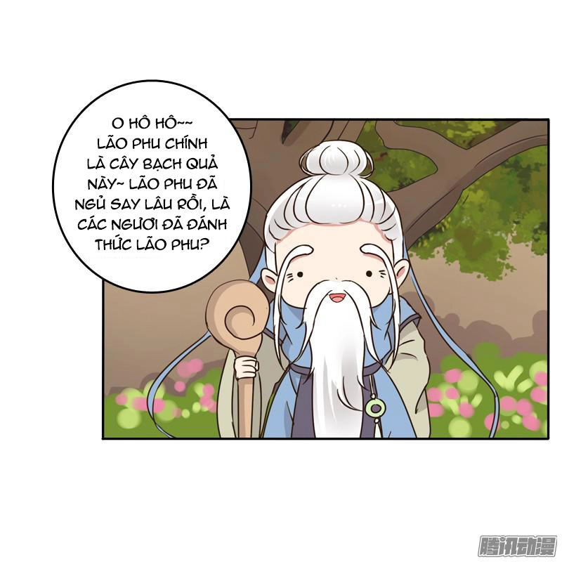 Thông Linh Phi Chapter 87.5 - 5