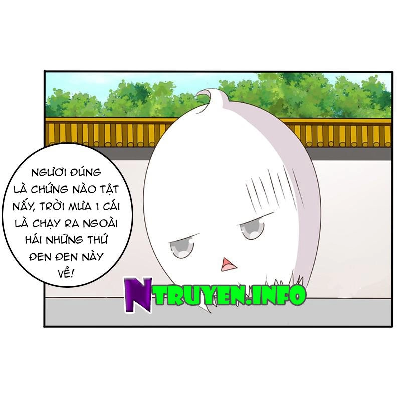 Thông Linh Phi Chapter 103 - 19