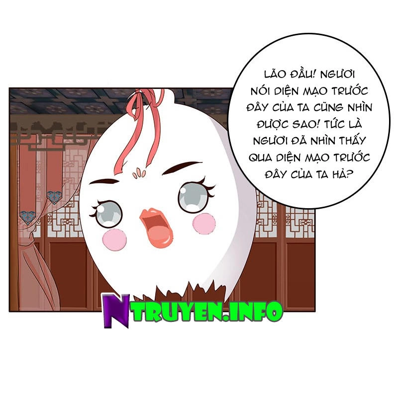 Thông Linh Phi Chapter 165.5 - 8