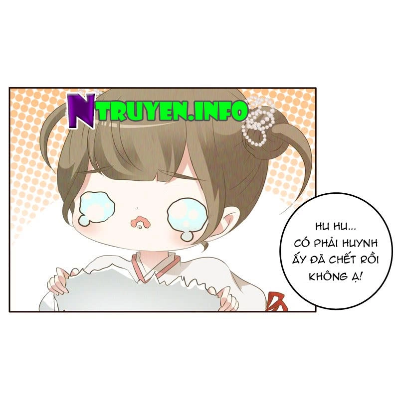 Thông Linh Phi Chapter 170.5 - 4