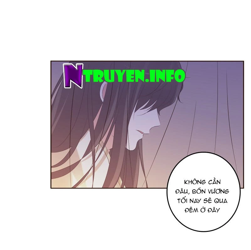 Thông Linh Phi Chapter 186.5 - 4