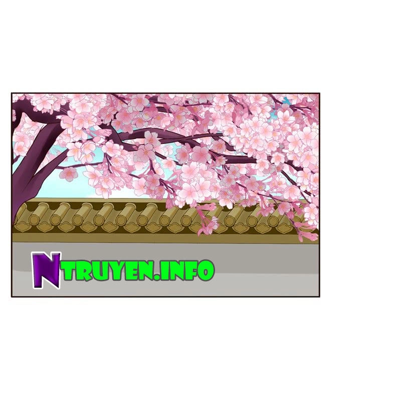 Thông Linh Phi Chapter 193.5 - 4