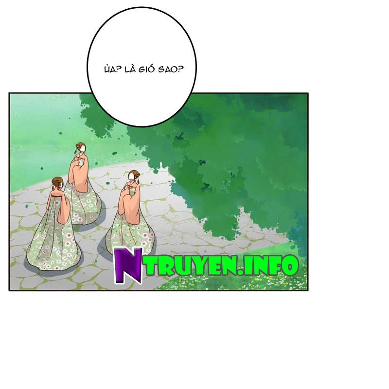 Thông Linh Phi Chapter 204.5 - 12