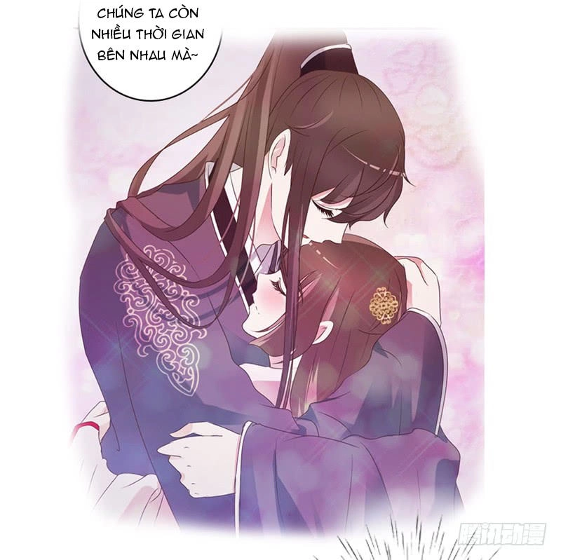 Thông Linh Phi Chapter 210.5 - 20