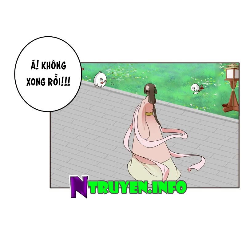 Thông Linh Phi Chapter 211.5 - 13