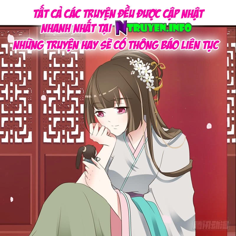 Thông Linh Phi Chapter 224.5 - 16