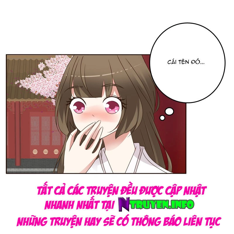 Thông Linh Phi Chapter 235.5 - 16