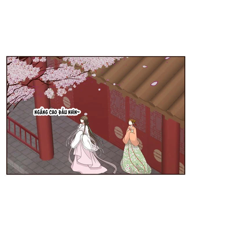 Thông Linh Phi Chapter 235.5 - 19