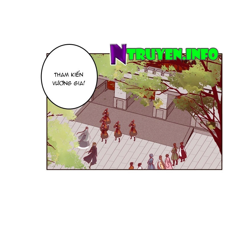 Thông Linh Phi Chapter 267 - 8