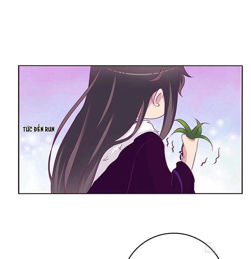 Thông Linh Phi Chapter 296 - 7