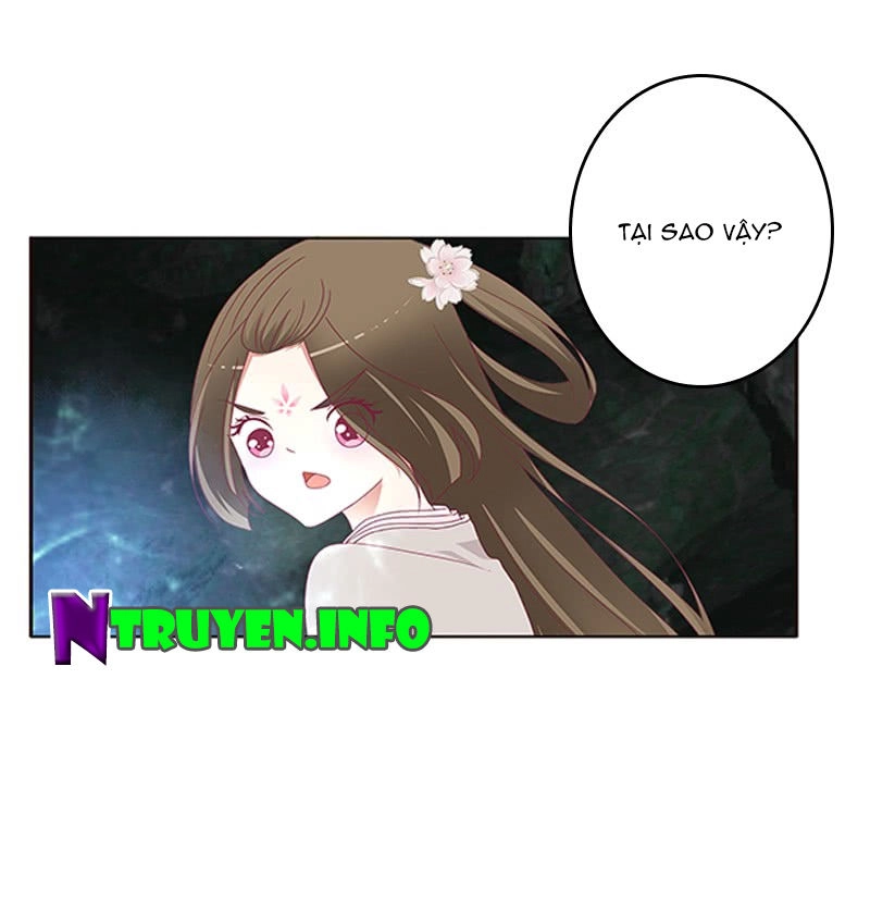 Thông Linh Phi Chapter 428 - 12